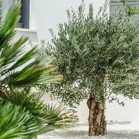 Dalmatia Apartment *