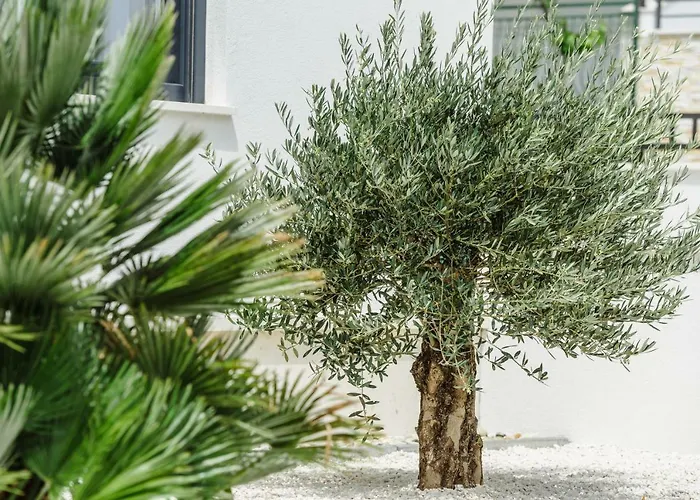 Dalmatia Apartment *