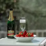 Apartman Dalmatia *