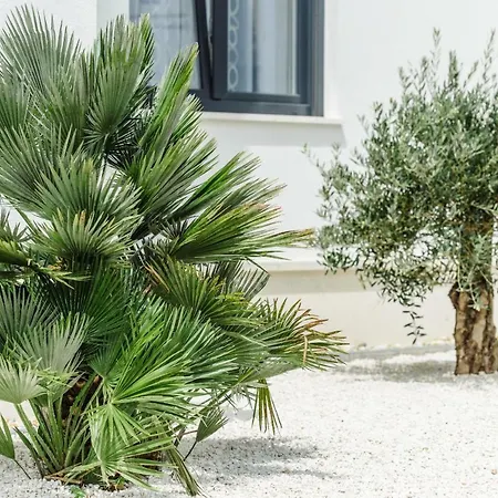 Dalmatia * 特罗吉尔